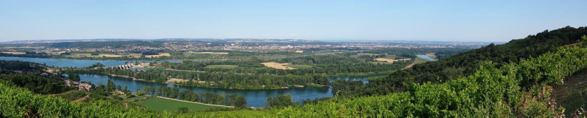 L'Ecrin De Vert Saint-Alban-du-Rhône Rum bild